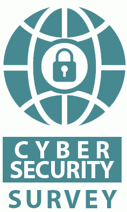 Cybersecurity Survey